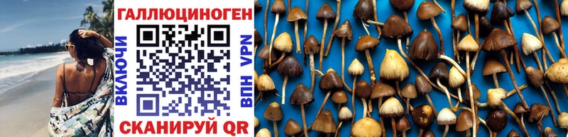 Псилоцибиновые грибы MAGIC MUSHROOMS  даркнет состав  Старый Крым  где купить наркоту 